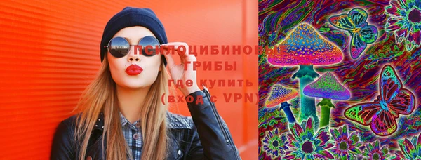 молекула духа Богданович