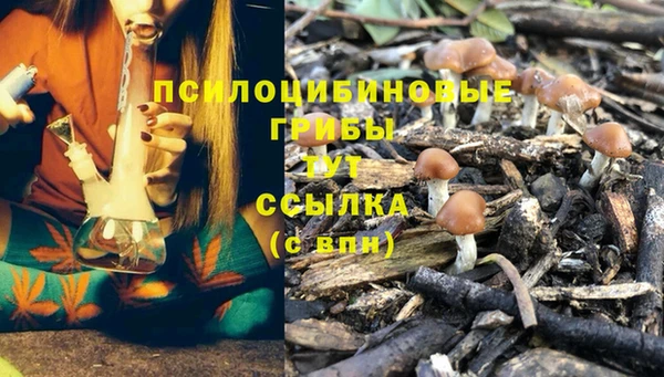 соль ск Нефтегорск
