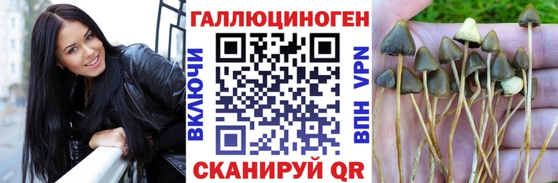 Галлюциногенные грибы Cubensis  Безенчук 